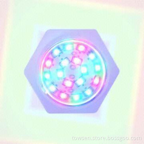 LED Amusement Light, Available in RGB